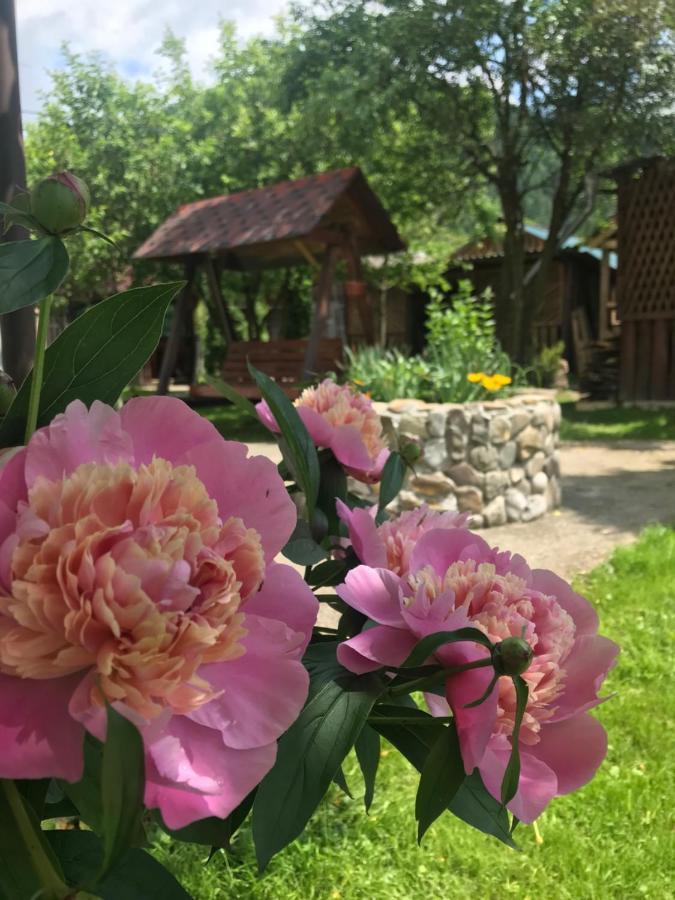 Садиба Диво Квітка ตาราริฟ ภายนอก รูปภาพ